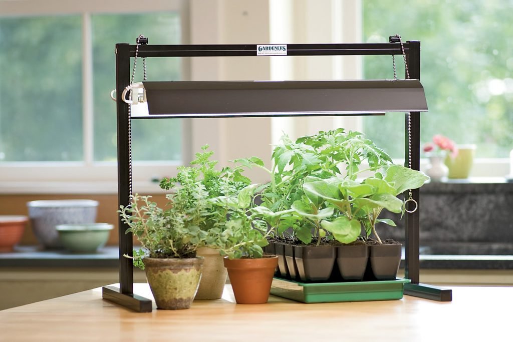 free download grow lights for indoor plants